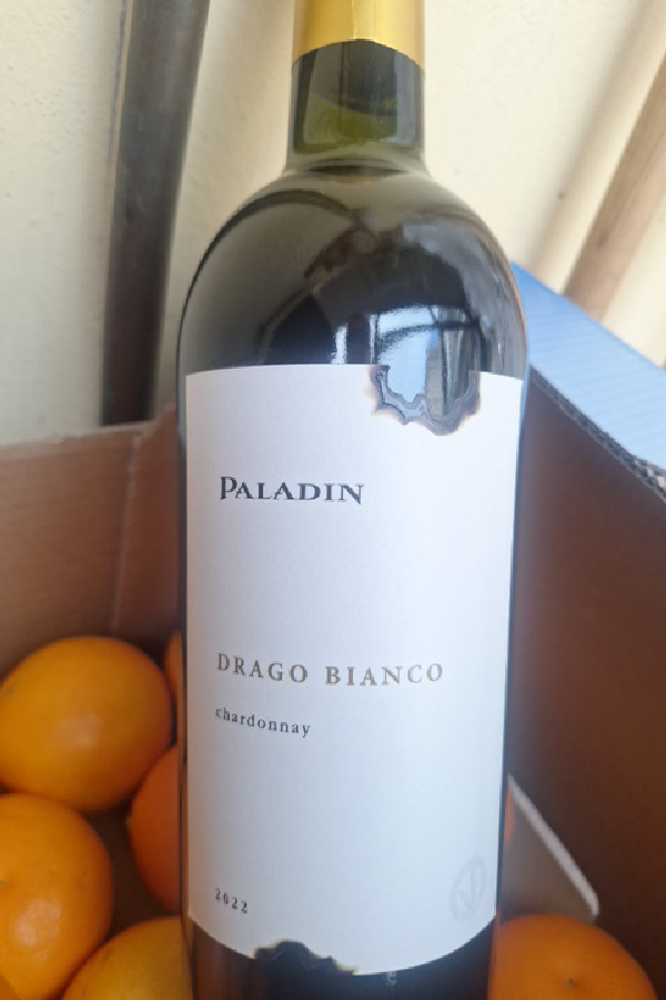 Drago Bianco - Image 1