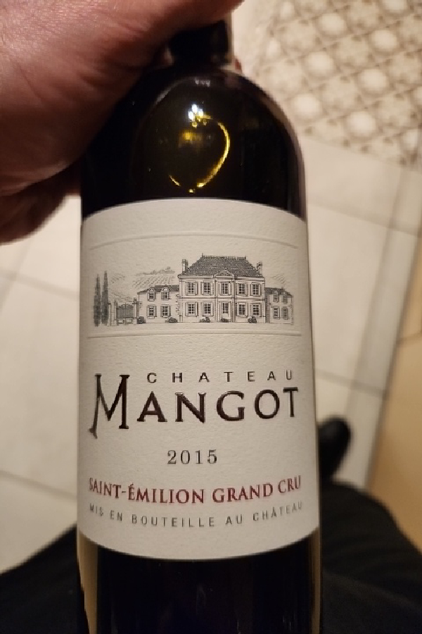 Château Mangot Saint-Émilion Grand Cru - Image 1