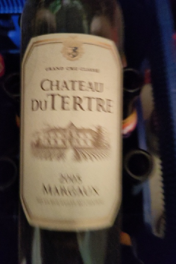 Château du Tertre - Image 1