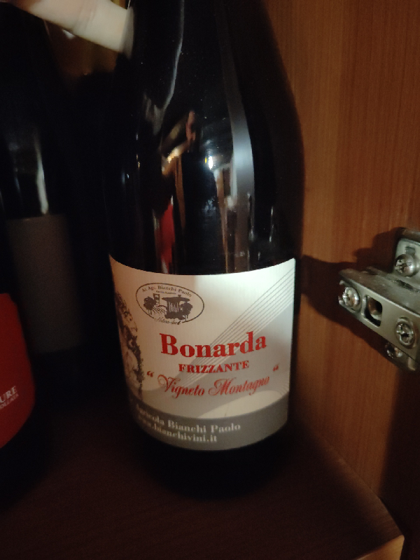 Bonarda Frizzante Vigneto Montagn - Image 1