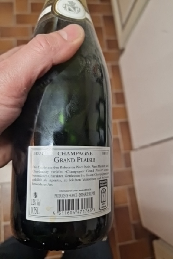 Champagne Grand Plaisir Brut - Image 1