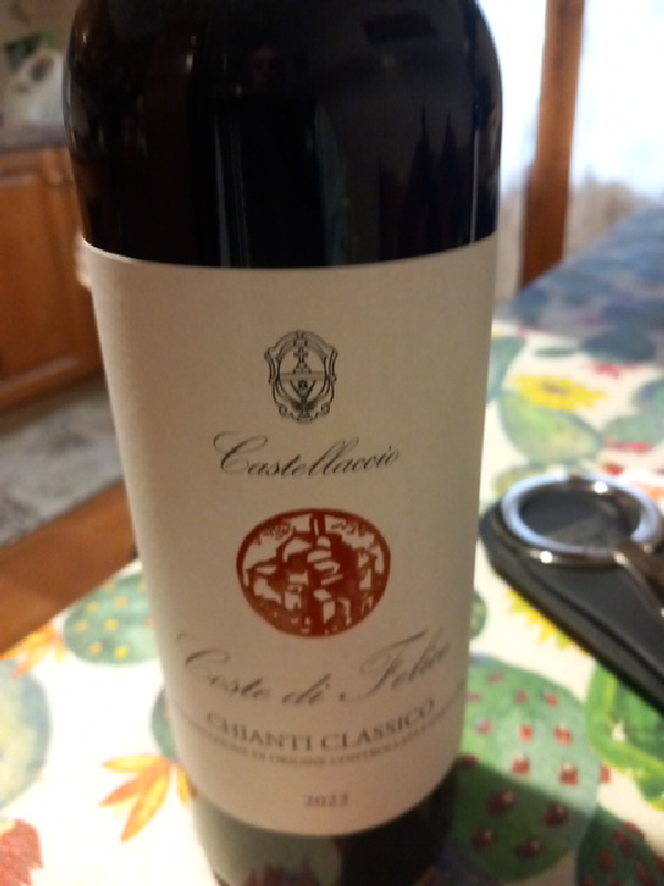 Coste di Felciaio Chianti Classico - Image 1