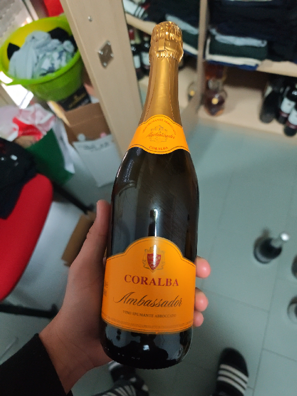 Ambassador - Image 1