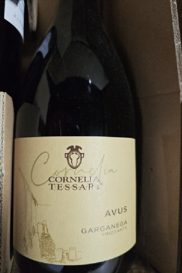 Avus Garganega Frizzante - Image 1