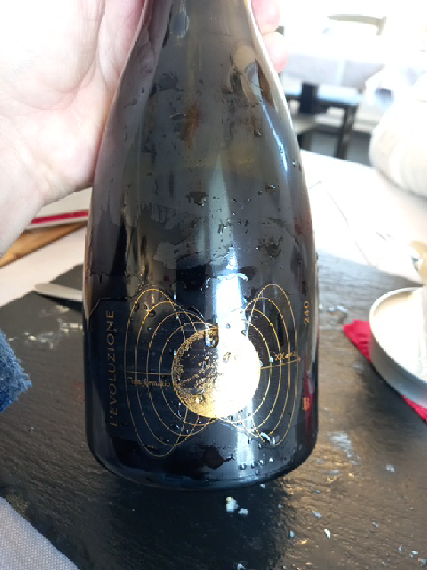 L'Evoluzione Transarmatio - Image 1