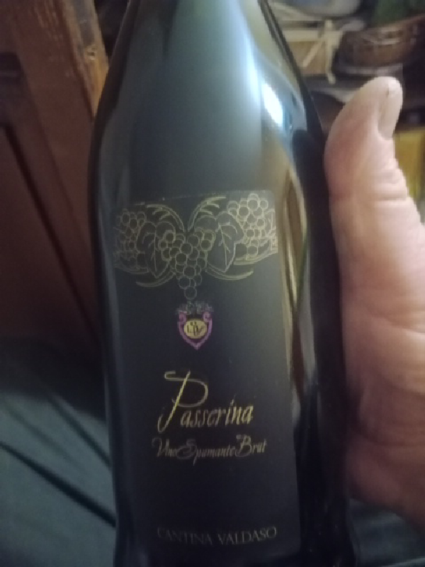 Passerina Vino Spumante Brut - Image 1