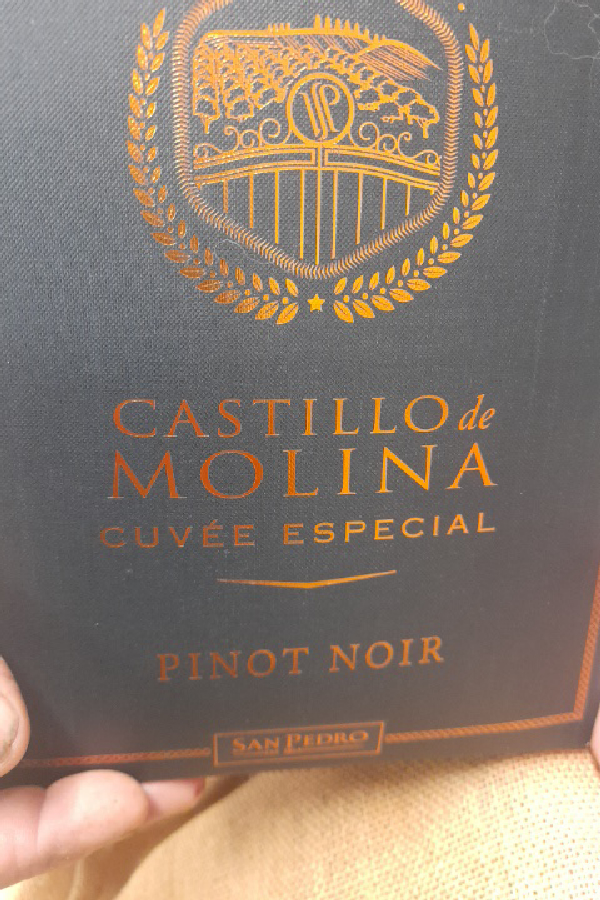 Castillo de Molina Cuvée Especial Pinot Noir - Image 1