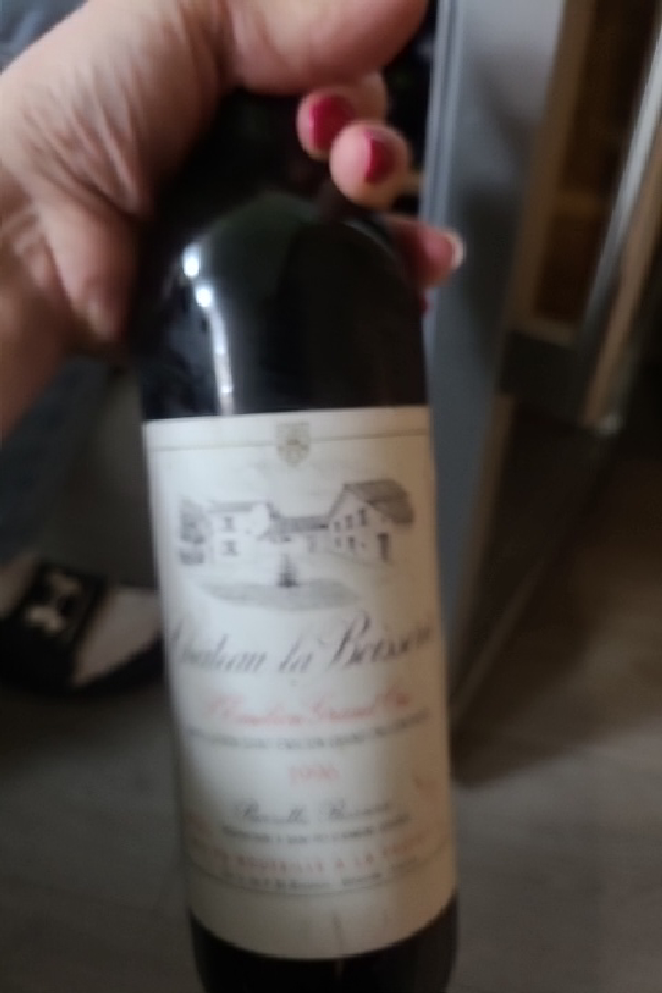 Château la Boisère - Image 1