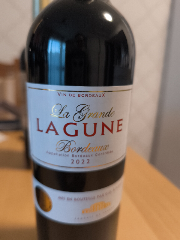 La Grande Lagune Bordeaux - Image 1