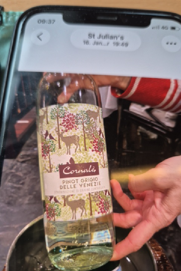 Pinot Grigio Delle Venezie - Image 1