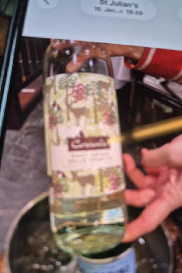 Cossetti Gavi - Image 1