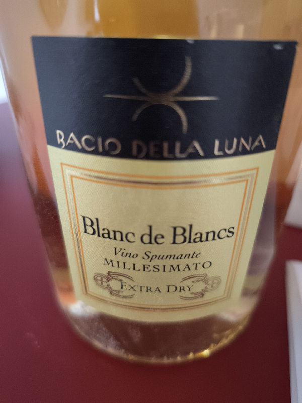 Blanc de Blancs Millesimato Extra Dry - Image 1