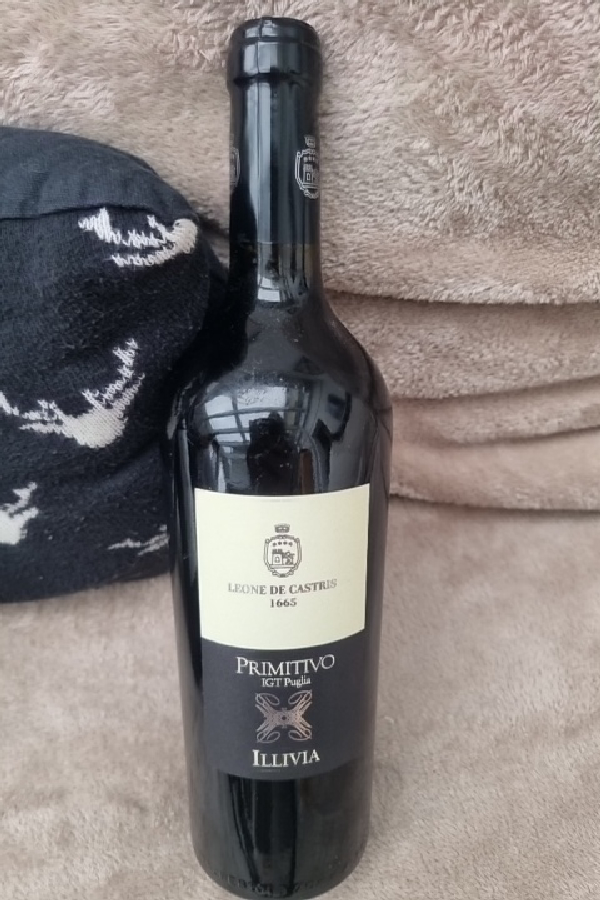 Illivia Primitivo IGT Puglia - Image 1