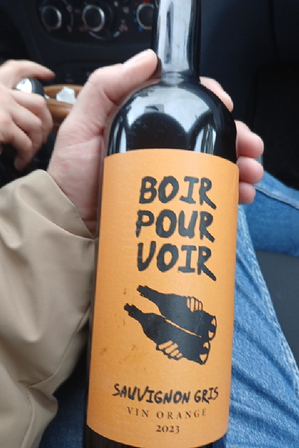 Boire Pour Voir Sauvignon Gris - Image 1