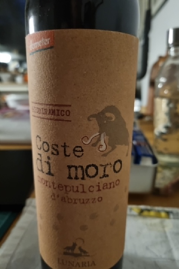 Coste di Moro Montepulciano d'Abruzzo - Image 1