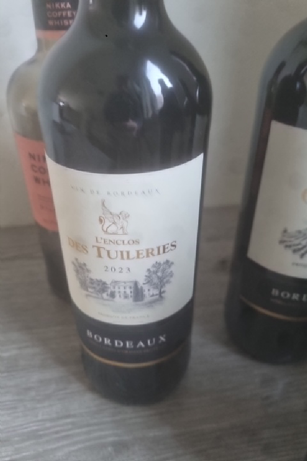 L'Enclos des Tuileries - Image 1