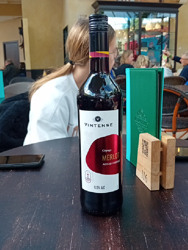 Merlot Non-Alcoholic - Image 1