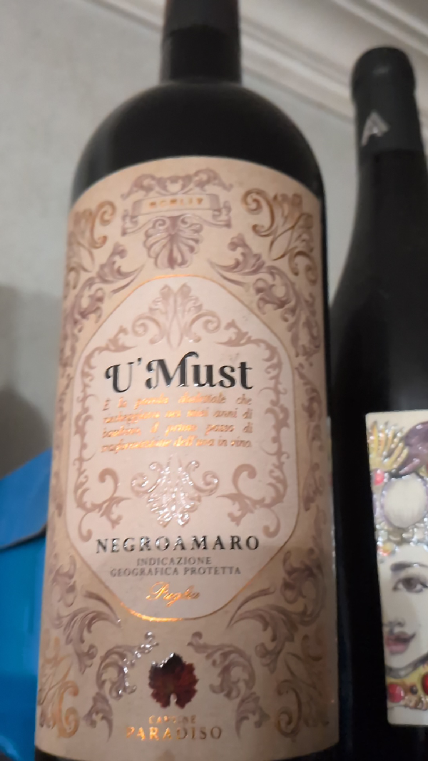 U'Must Negroamaro - Image 1