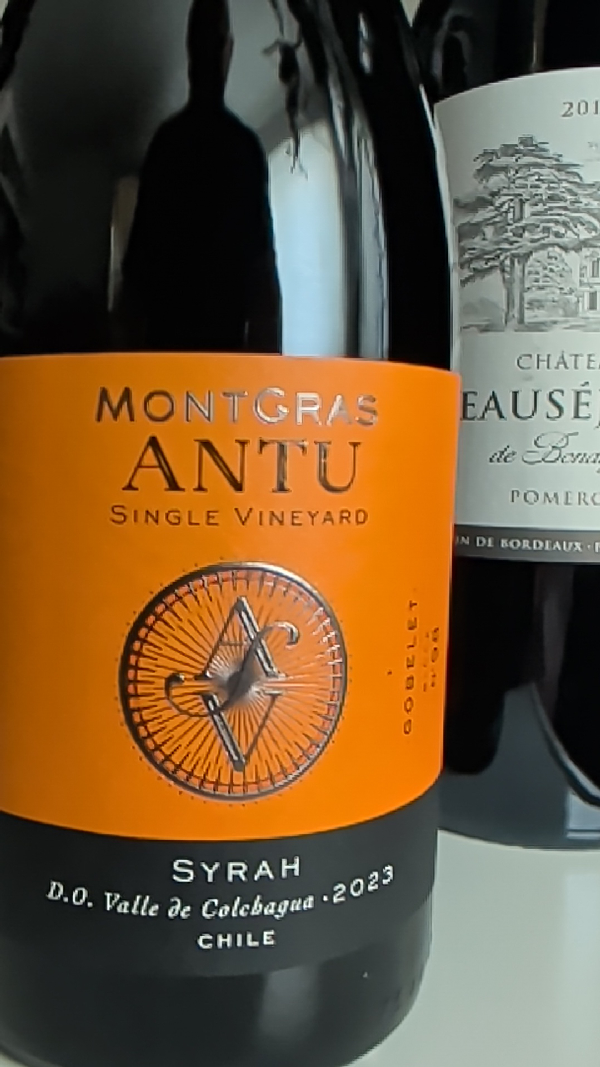 Antu Single Vineyard Syrah - Image 1