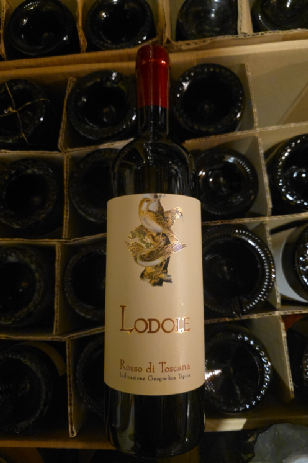 Lodole Rosso di Toscana - Image 1