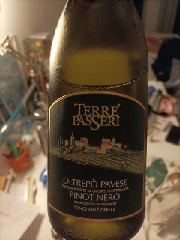 Oltrepò Pavese Pinot Nero Vinificato in Bianco Vino Frizzante - Image 1