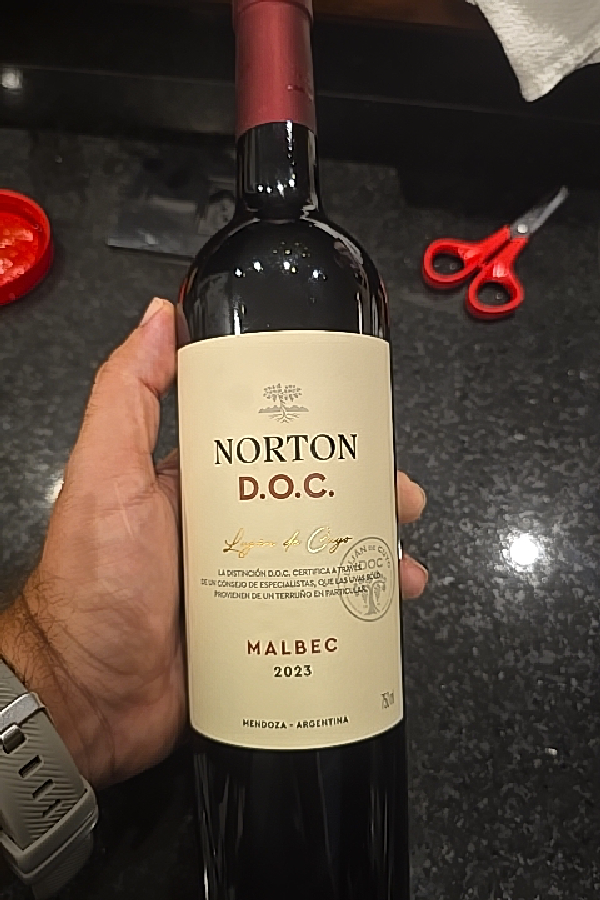 Norton D.O.C. Lujan de Cuyo Malbec 2023 - Image 1