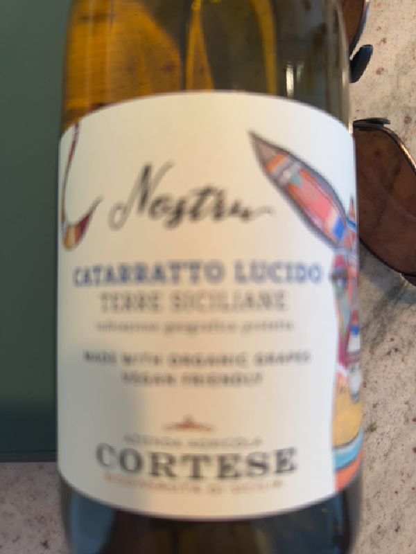Nostru Catarratto Lucido Terre Siciliane - Image 1