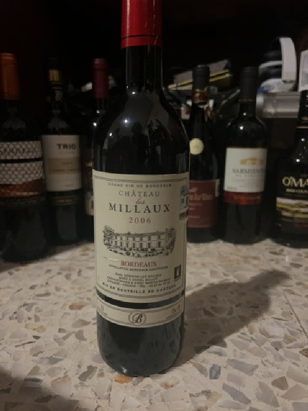 Château les Millaux - Image 1