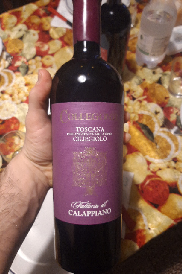 COLLEGONZI TOSCANA - Image 1