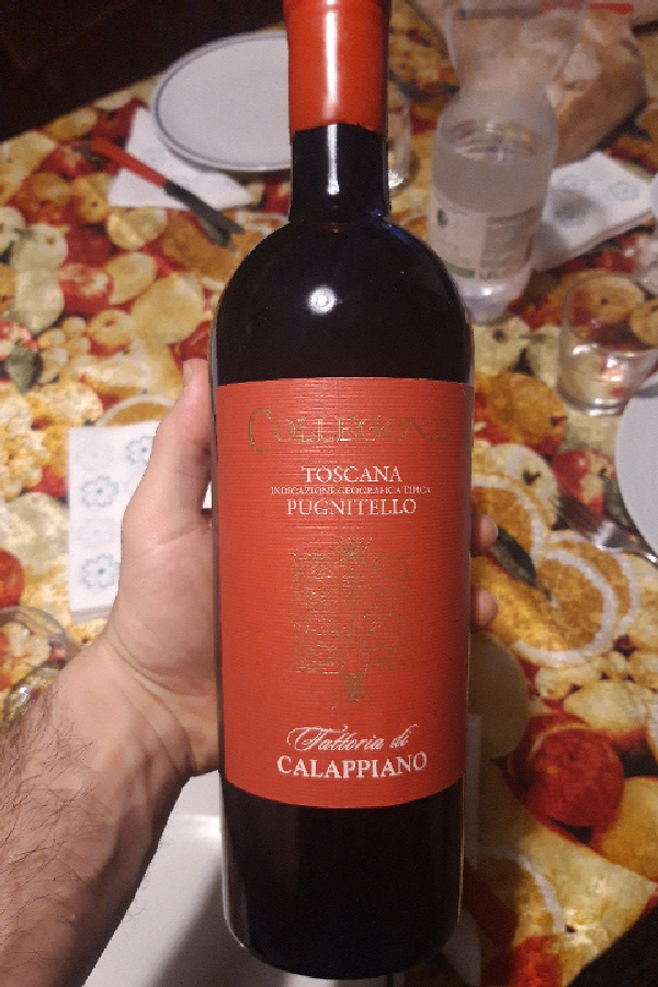 Collezione Pugnitello - Image 1