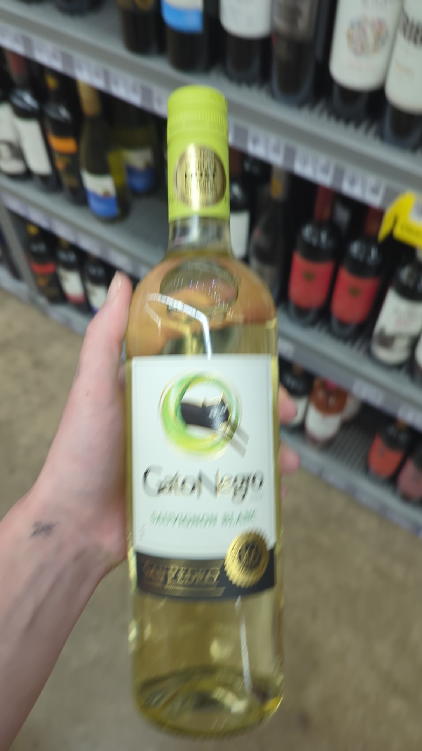 Gato Negro Sauvignon Blanc - Image 1