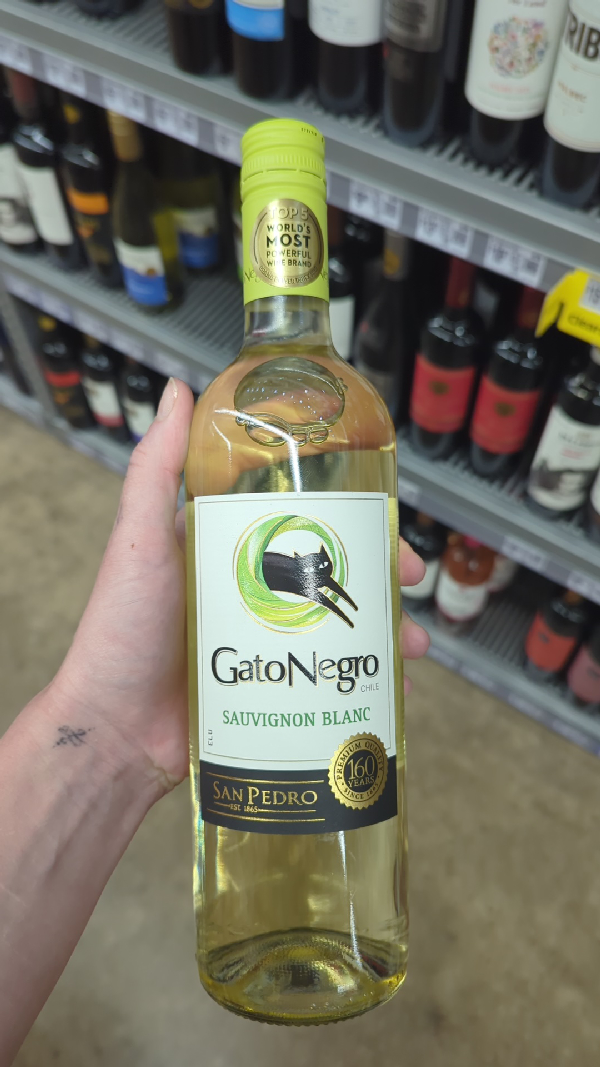 Gato Negro Sauvignon Blanc - Image 1