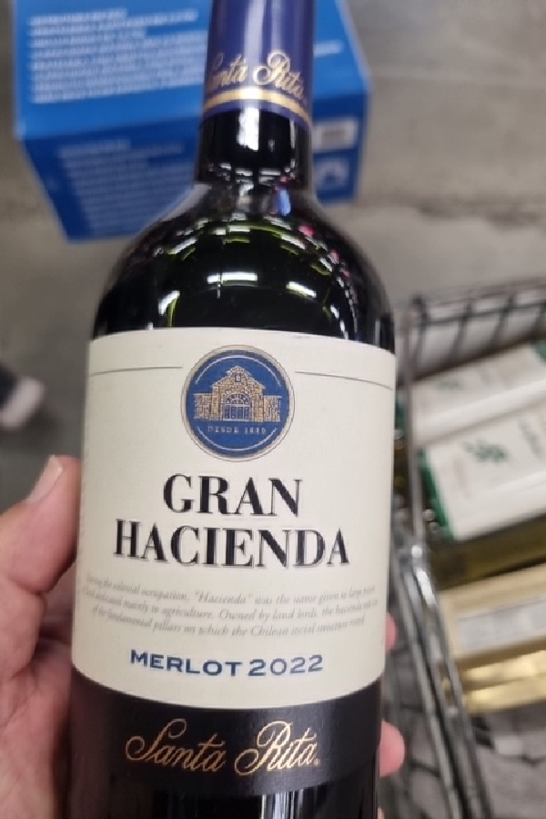 Gran Hacienda Merlot 2022 - Image 1