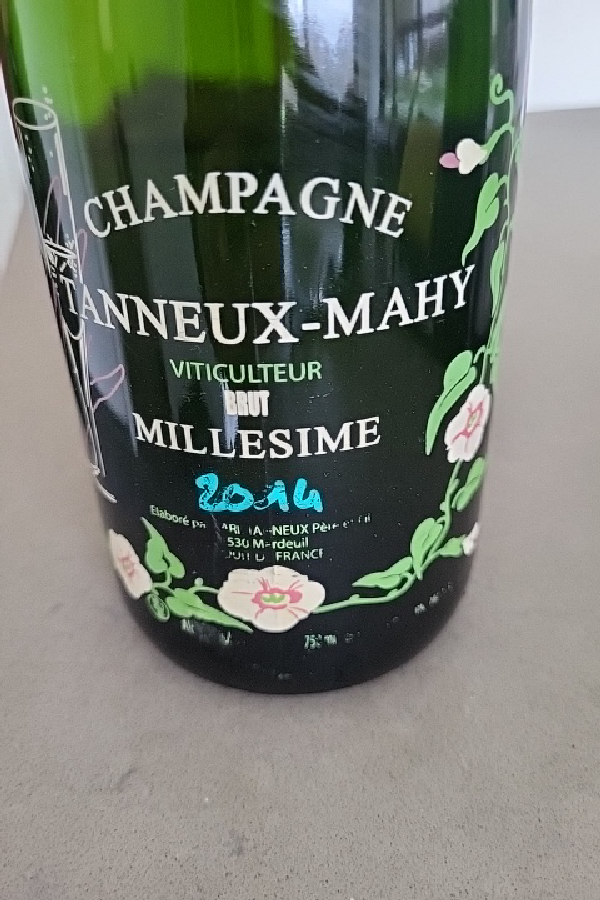 Champagne Tanneux-Mahy Brut Millesime - Image 1