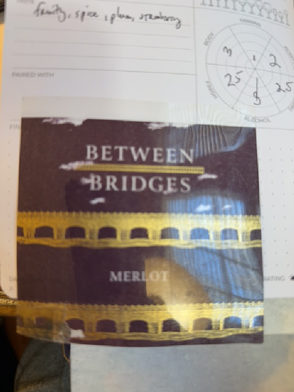 Between Bridges Merlot - Image 1