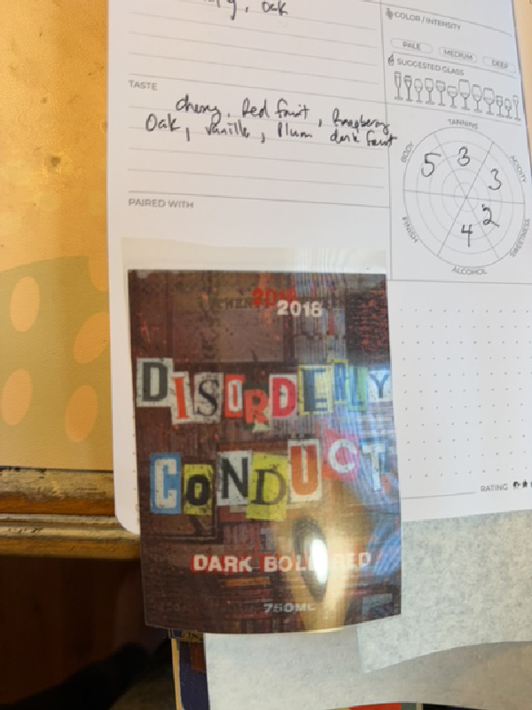 Disorderly Conduct - Image 1