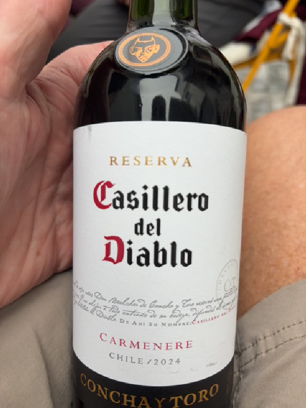 Casillero del Diablo Reserva Carmenere - Image 1