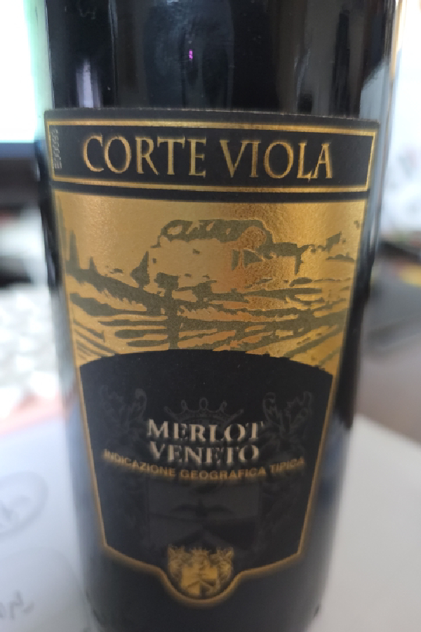 Merlot Veneto - Image 1