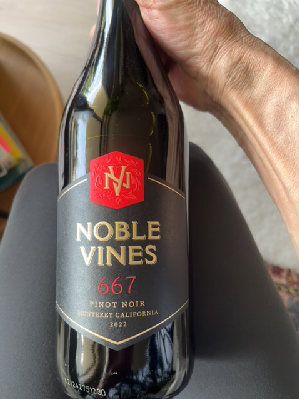667 Pinot Noir - Image 1