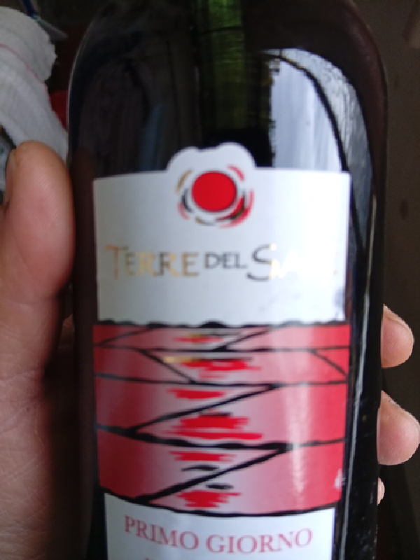 Primo Giorno - Image 1