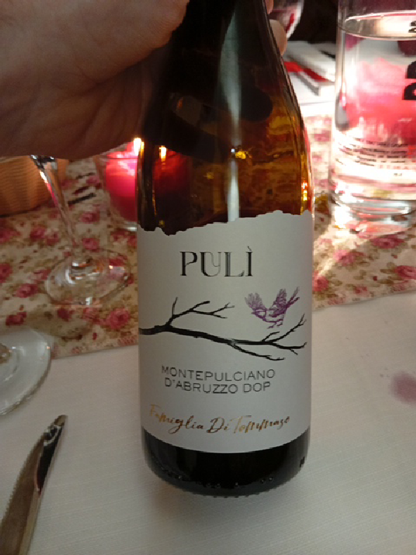 PULÌ Montepulciano d'Abruzzo DOP - Image 1