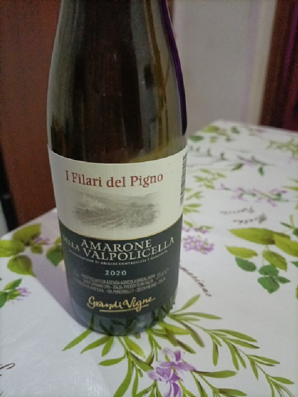 I Filari del Pigno Amarone della Valpolicella DOCG - Image 1