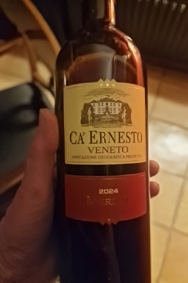 Ca' Ernesto Merlot - Image 1