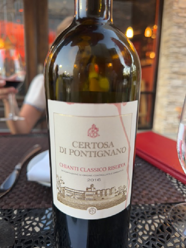 Certosa di Pontignano Chianti Classico Riserva - Image 1