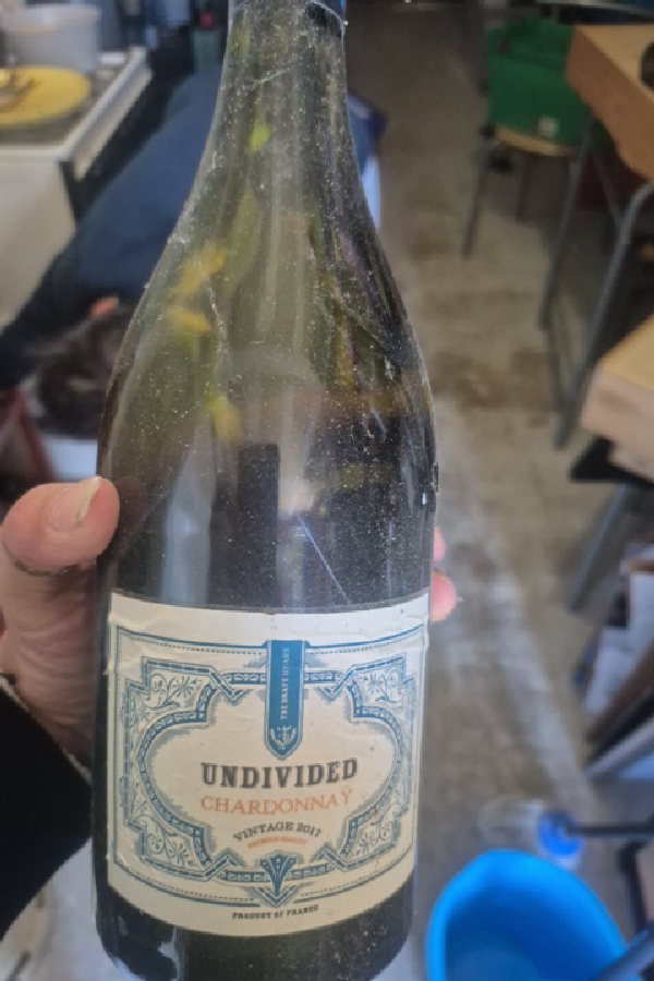 Undivided Chardonnay - Image 1