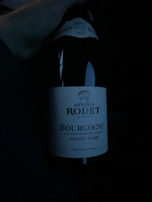 Antonin Rodet Bourgogne Pinot Noir - Image 1