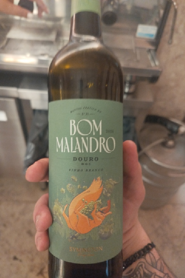Bom Malandro Vinho Branco - Image 1