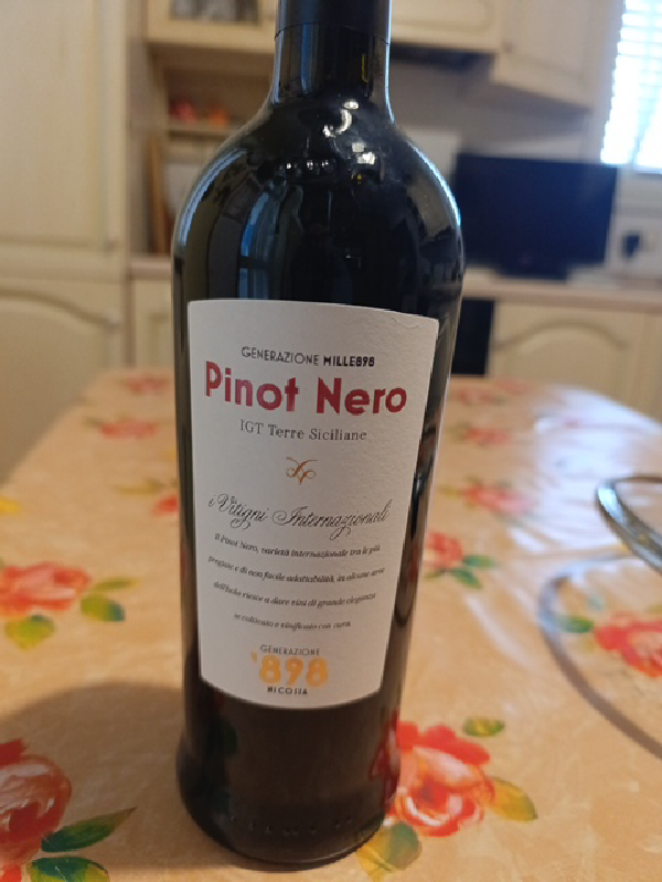 Generazione Mille898 Pinot Nero IGT Terre Siciliane - Image 1