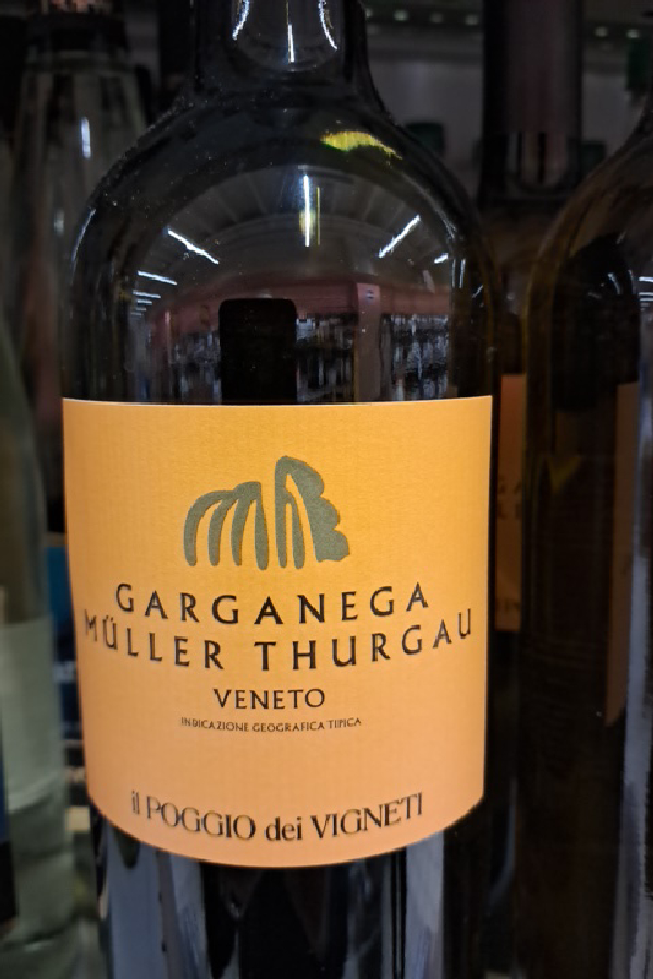 Garganega Müller Thurgau Veneto IGT - Image 1
