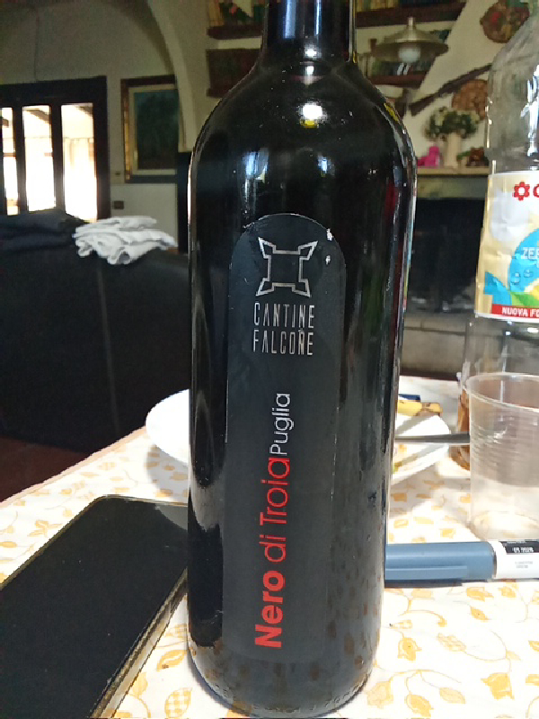 Nero di Troia Puglia - Image 1